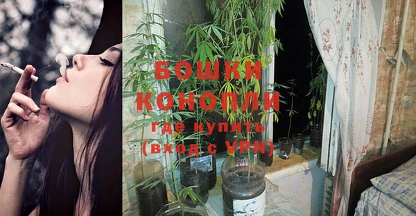 экстази Покачи