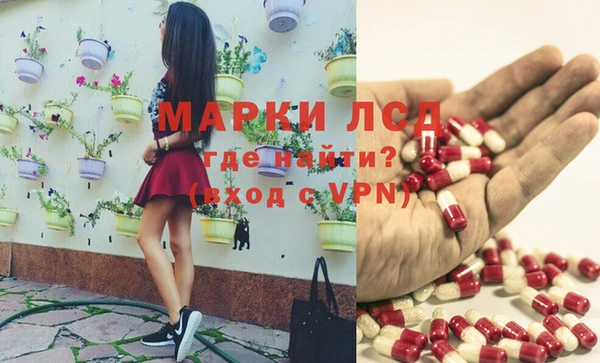 ПСИЛОЦИБИНОВЫЕ ГРИБЫ Аркадак