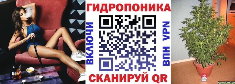 закладка Усть-Илимск omg ТОР Марихуана сатива